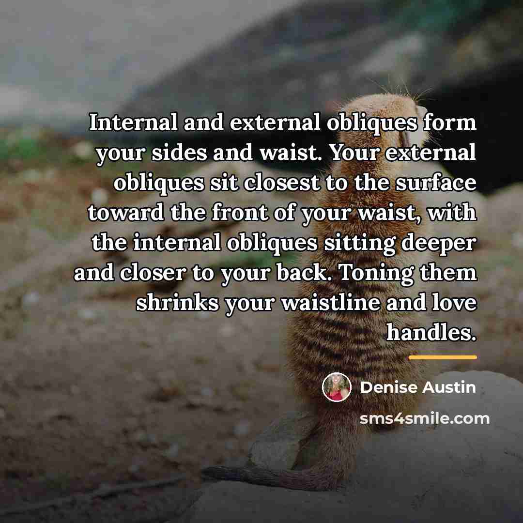 “Internal and external obliques form your sides and waist. Your…” quote by Denise Austin