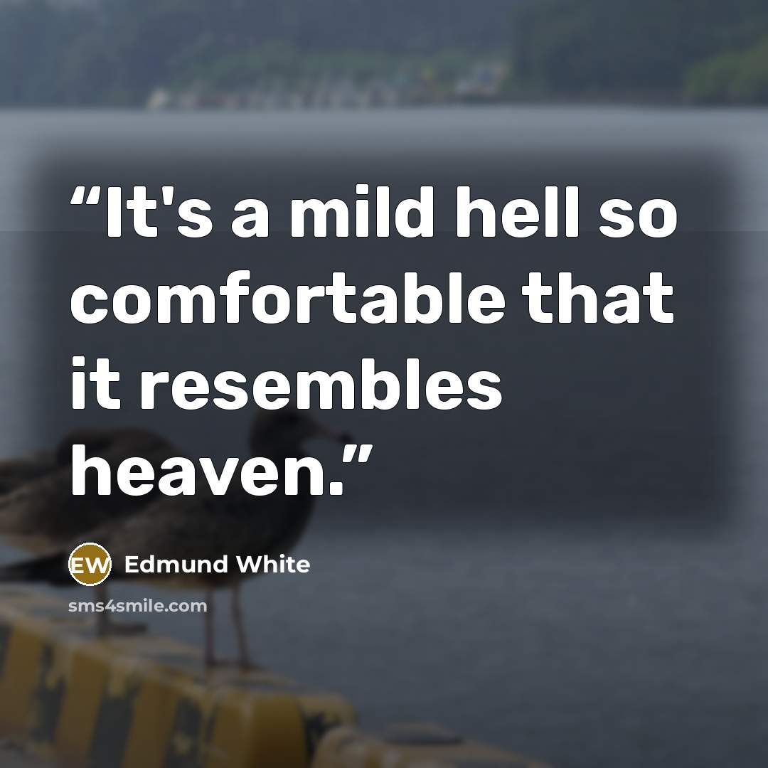 “It's a mild hell so comfortable that it resembles heaven.” quote by Edmund White