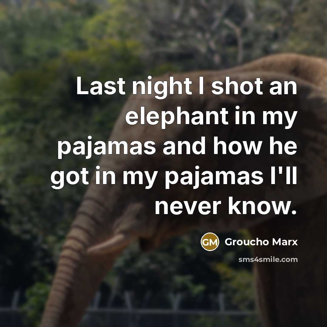 “Last night I shot an elephant in my pajamas and how he got in my pajamas I'll never know.” quote by Groucho Marx