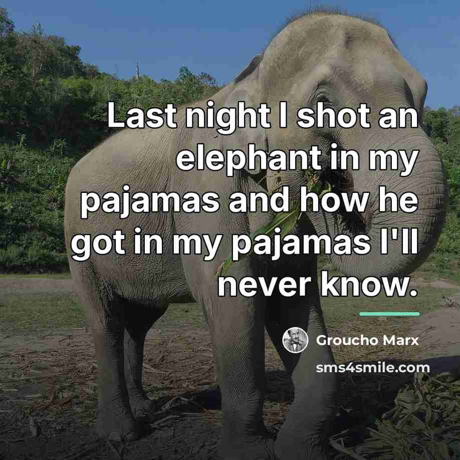 “Last night I shot an elephant in my pajamas and…” quote by Groucho Marx