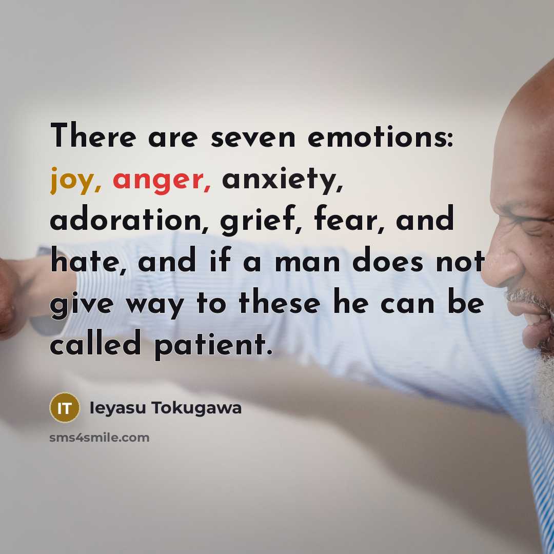 “There are seven emotions: joy, anger, anxiety, adoration, grief, fear,…” quote by Ieyasu Tokugawa