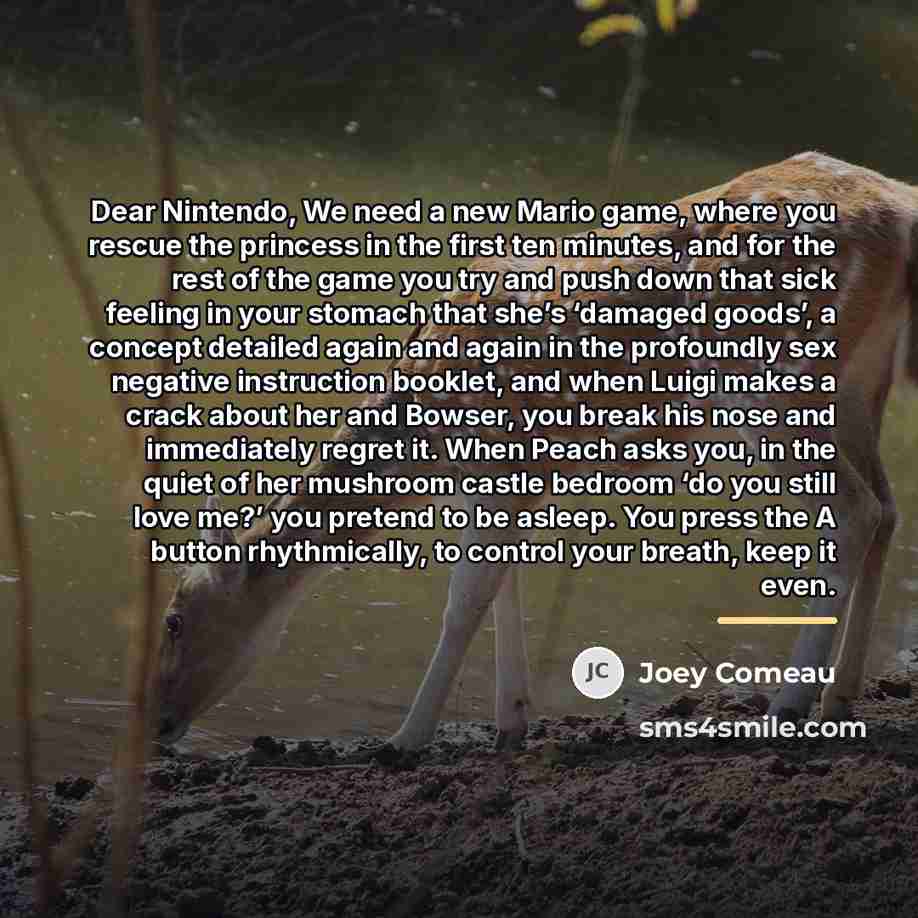“Dear Nintendo, We need a new Mario game, where you…” quote by Joey Comeau