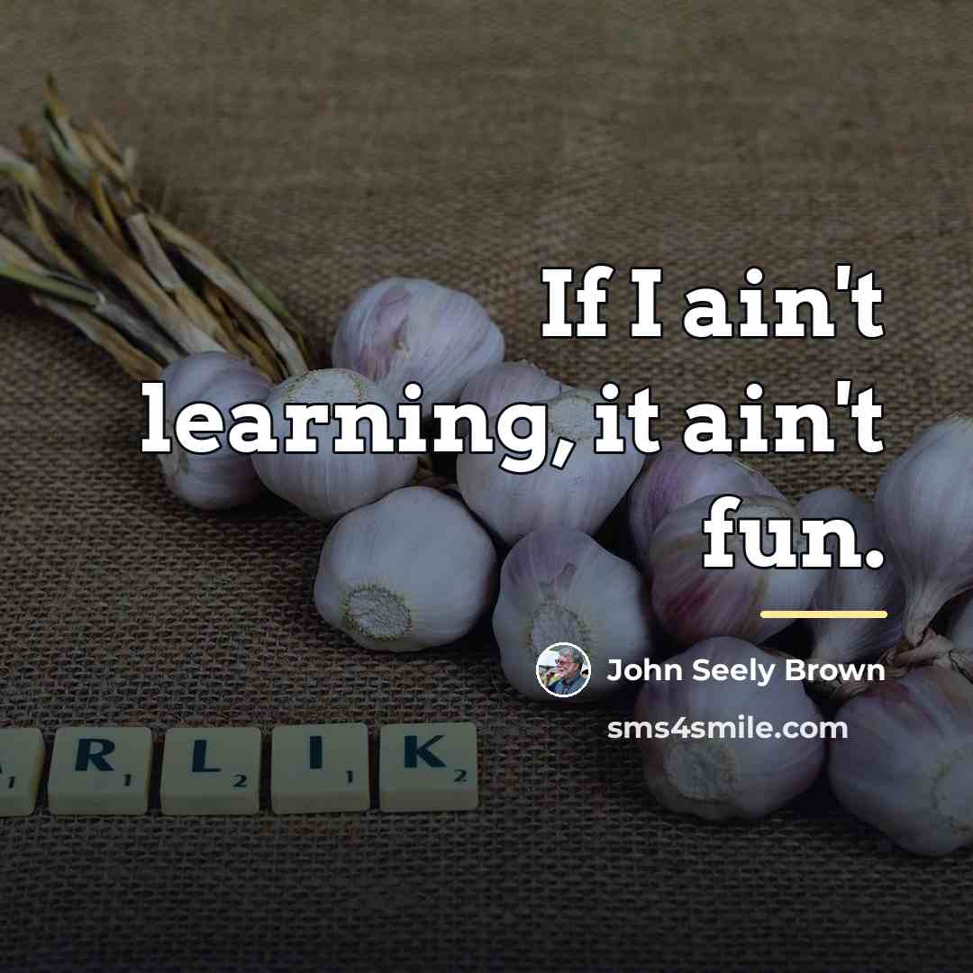 “If I ain't learning, it ain't fun.…” quote by John Seely Brown