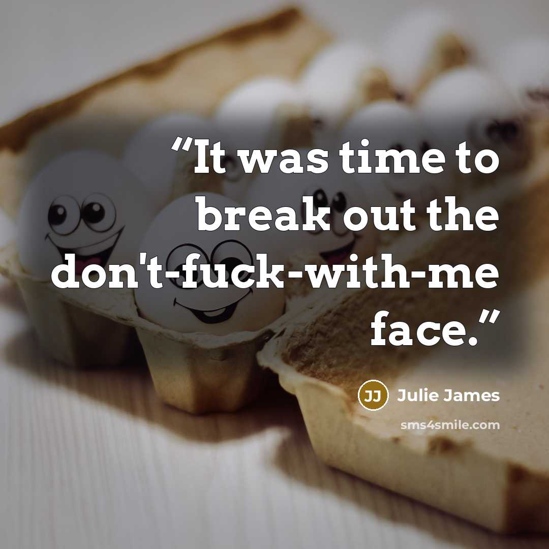 “It was time to break out the don't-fuck-with-me face.” quote by Julie James