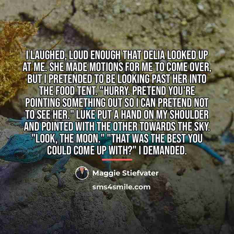 “I laughed, loud enough that Delia looked up at me.…” quote by Maggie Stiefvater