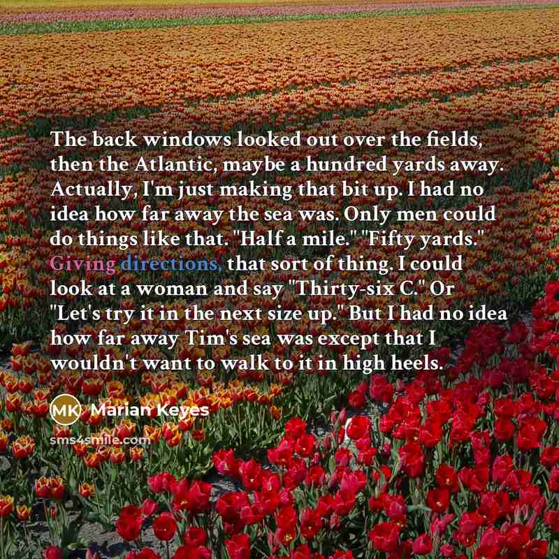 “The back windows looked out over the fields, then the…” quote by Marian Keyes
