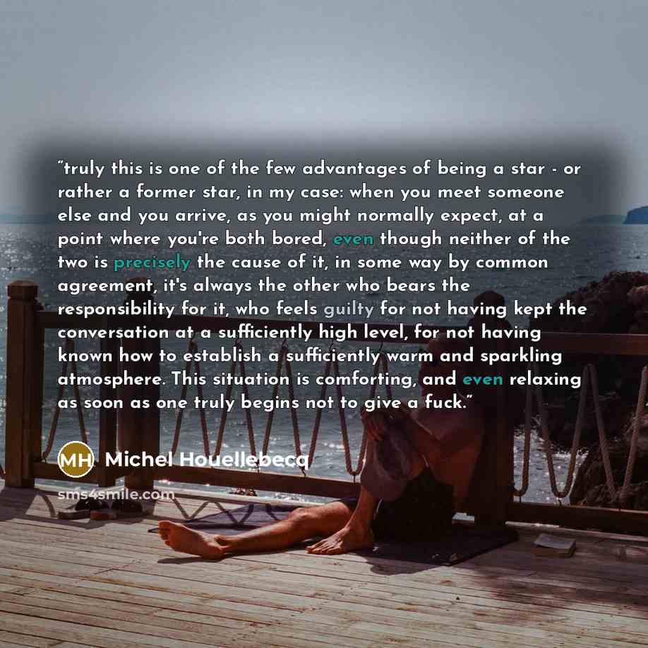 “truly this is one of the few advantages of being a star - or rather a former star, in my case: when you meet someone else and you arrive, as you might normally expect, at a point where you're both bored, even though neither of the two is precisely the cause of it, in some way by common agreement…” quote by Michel Houellebecq