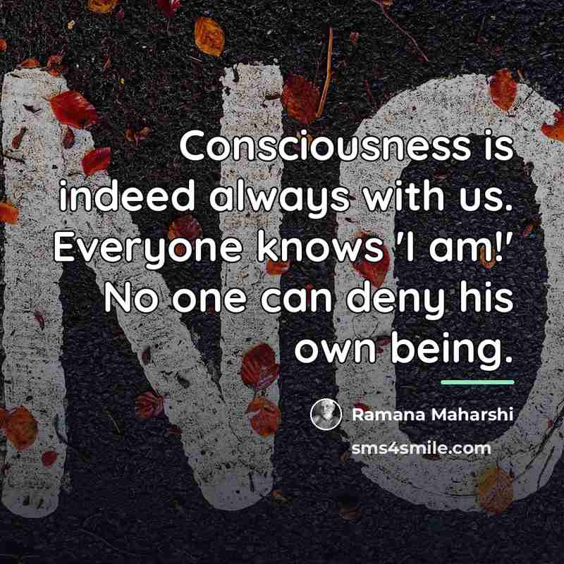 “Consciousness is indeed always with us. Everyone knows 'I am!'…” quote by Ramana Maharshi