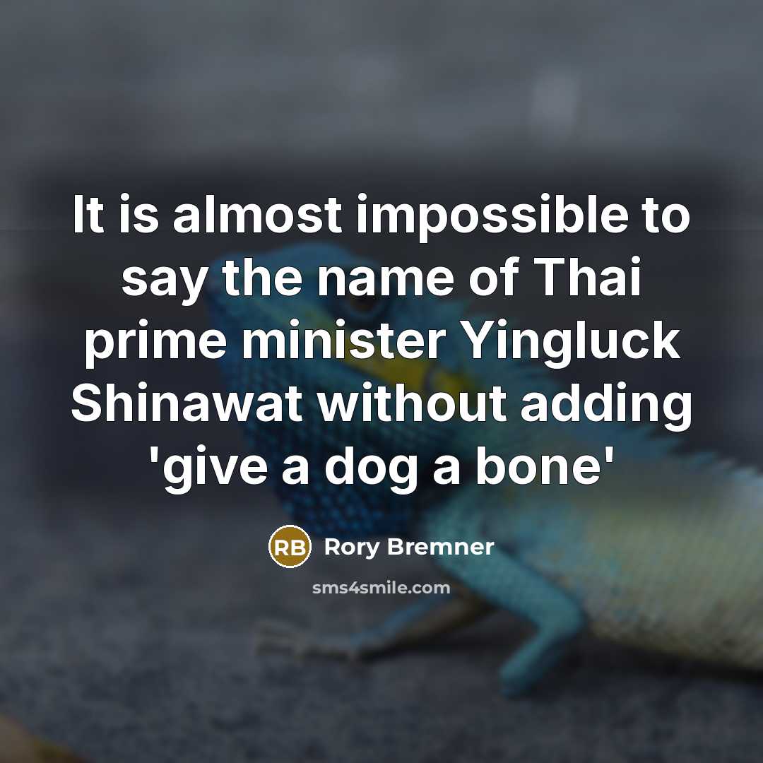 “It is almost impossible to say the name of Thai prime minister Yingluck Shinawat without adding 'give a dog a bone'” quote by Rory Bremner