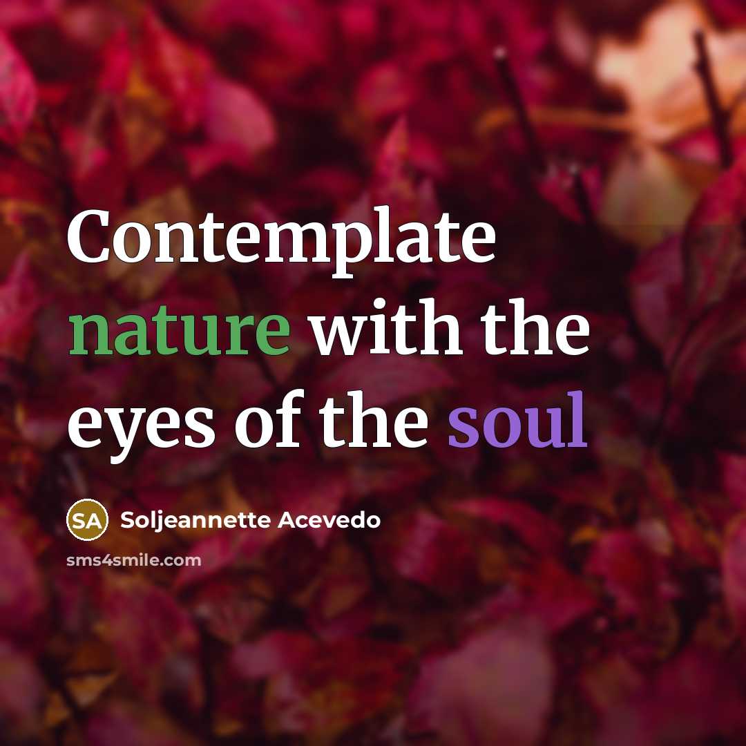 “Contemplate nature with the eyes of the soul” quote by Soljeannette Acevedo