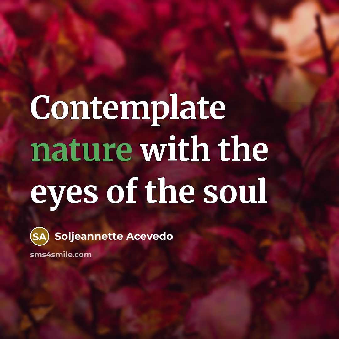 “Contemplate nature with the eyes of the soul” quote by Soljeannette Acevedo