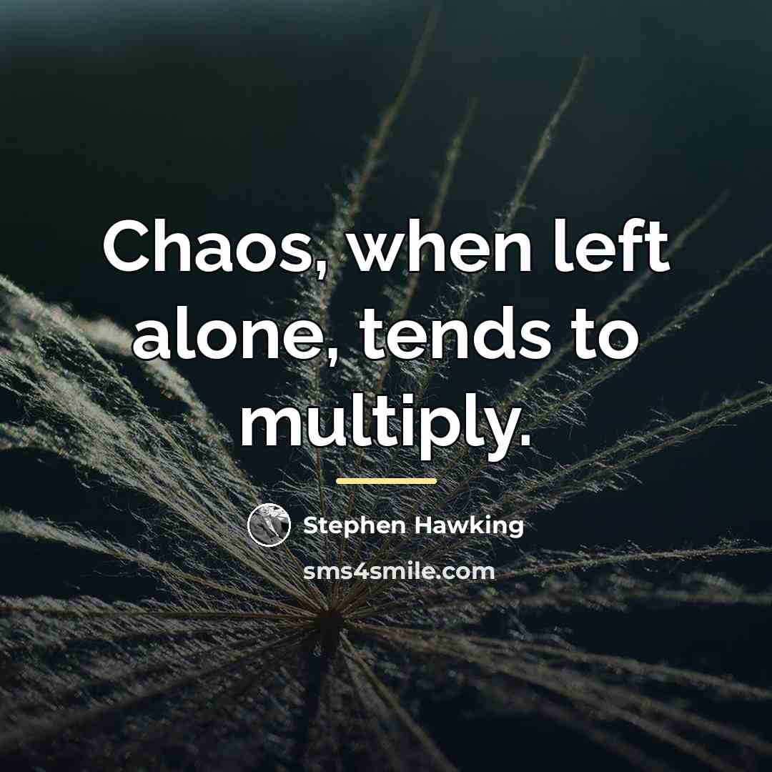 “Chaos, when left alone, tends to multiply.…” quote by Stephen Hawking