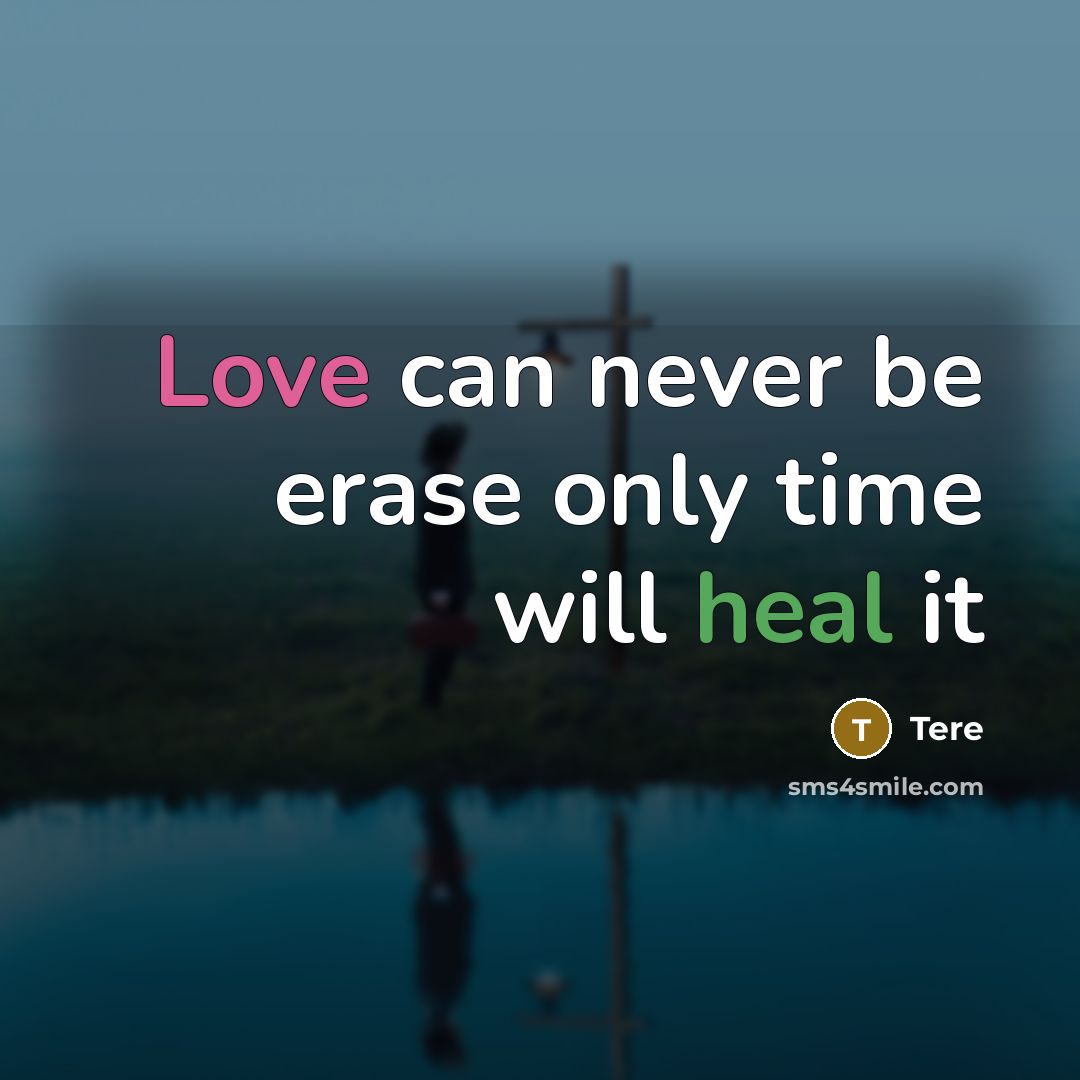 “Love can never be erase only time will heal it” quote by Tere