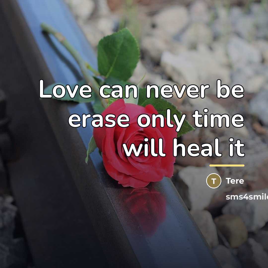 “Love can never be erase only time will heal it…” quote by Tere