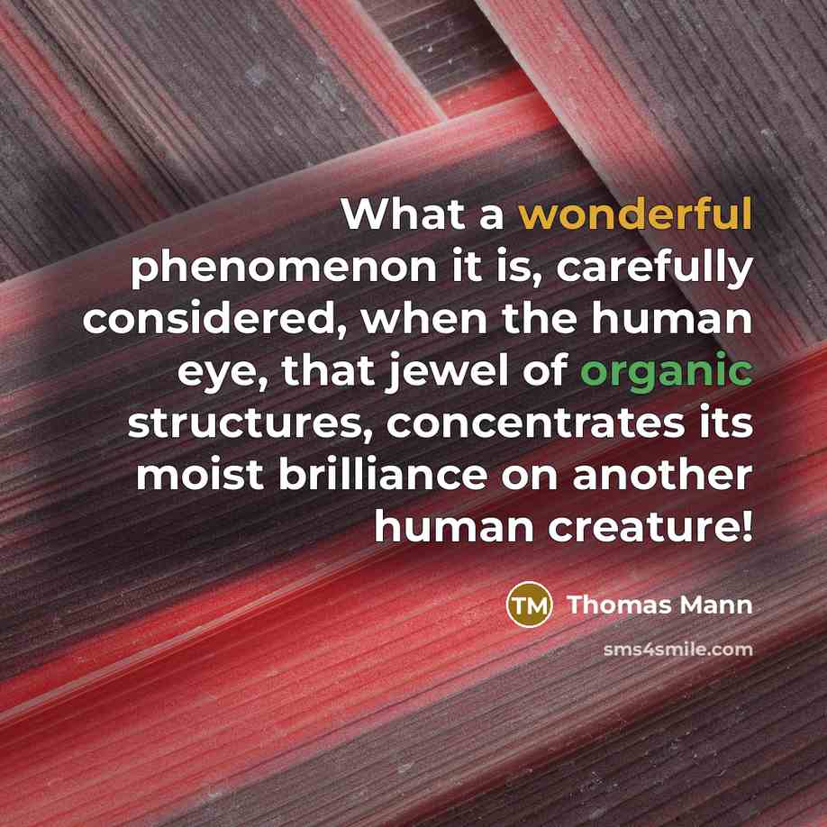 “What a wonderful phenomenon it is, carefully considered, when the…” quote by Thomas Mann