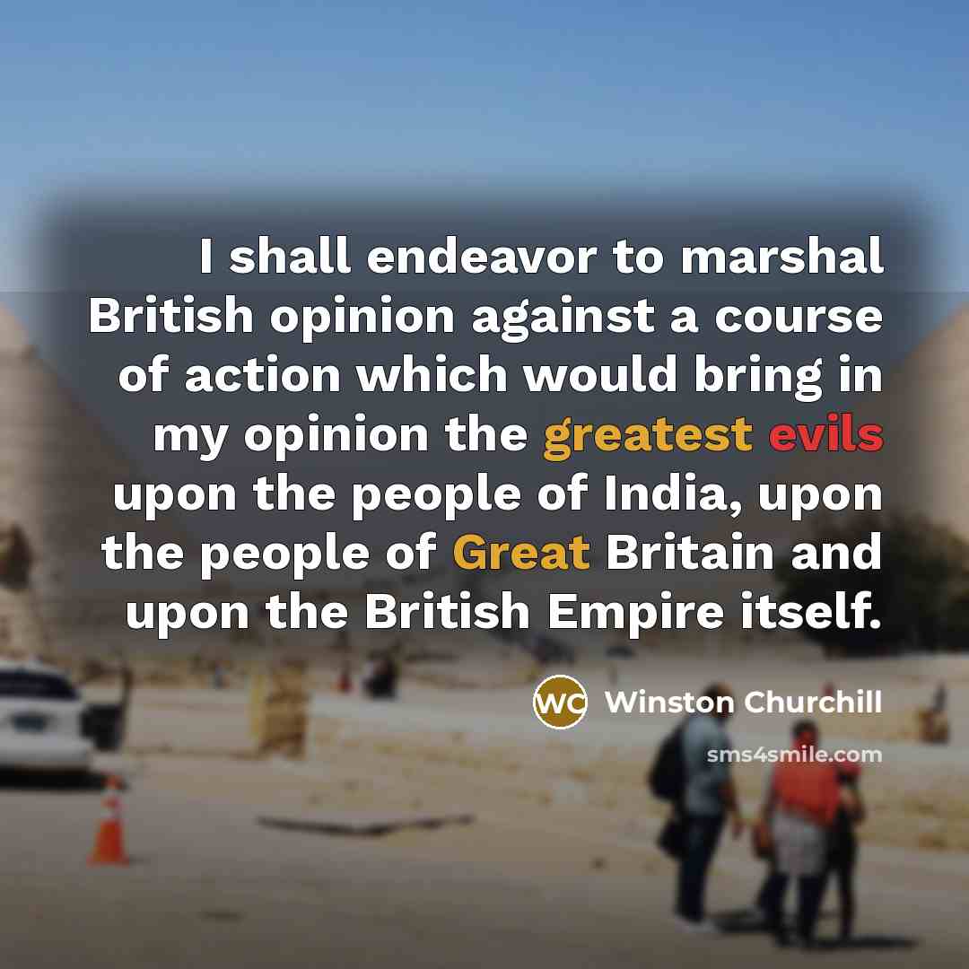 “I shall endeavor to marshal British opinion against a course…” quote by Winston Churchill