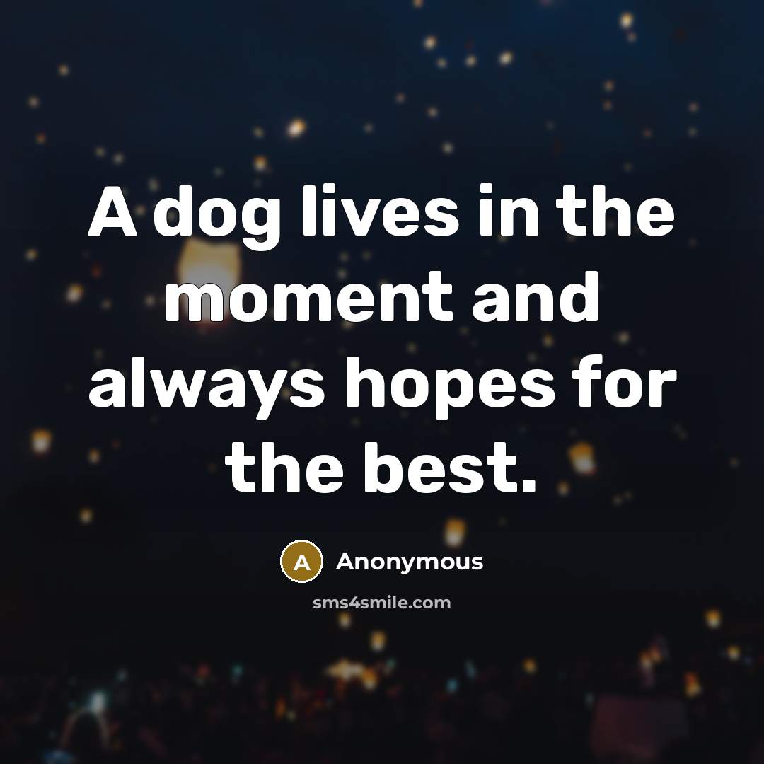 “A dog lives in the moment and always hopes for…” quote by Anonymous