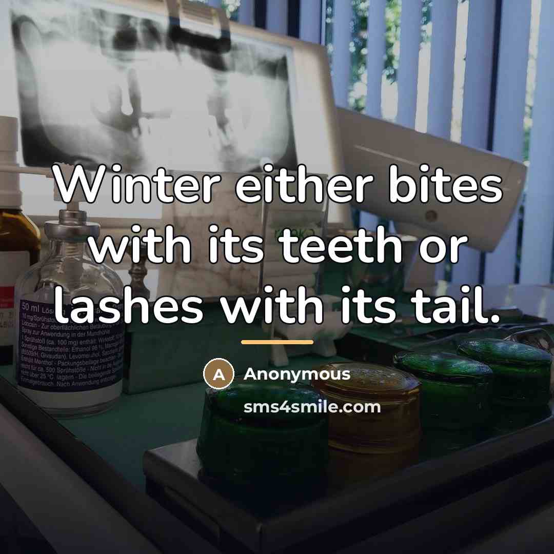 “Winter either bites with its teeth or lashes with its…” quote by Anonymous