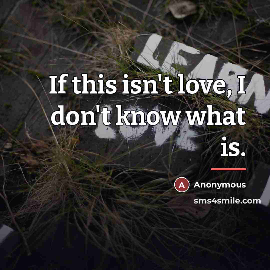 “If this isn't love, I don't know what is.…” quote by Anonymous