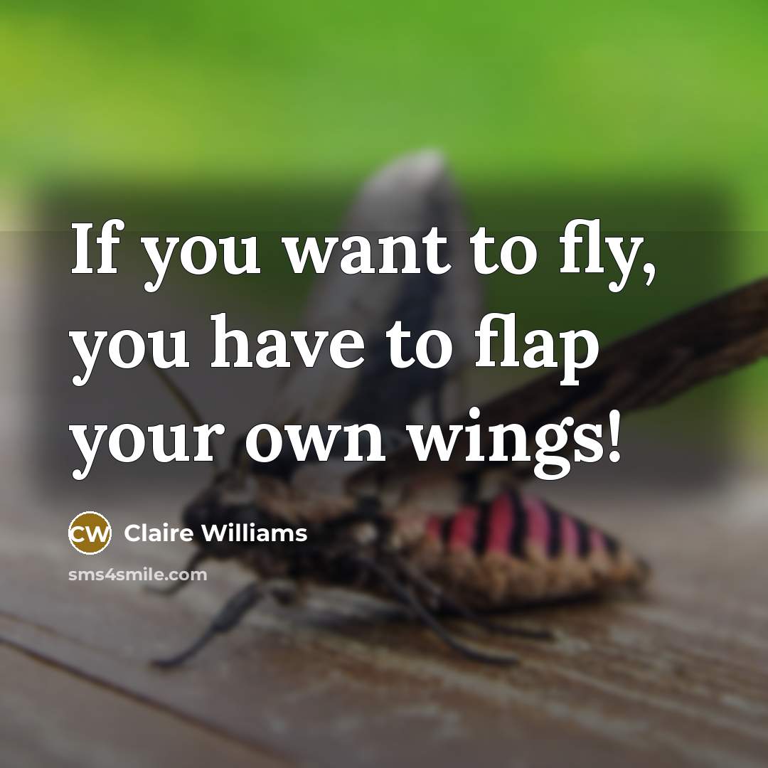 “If you want to fly, you have to flap your…” quote by Claire Williams