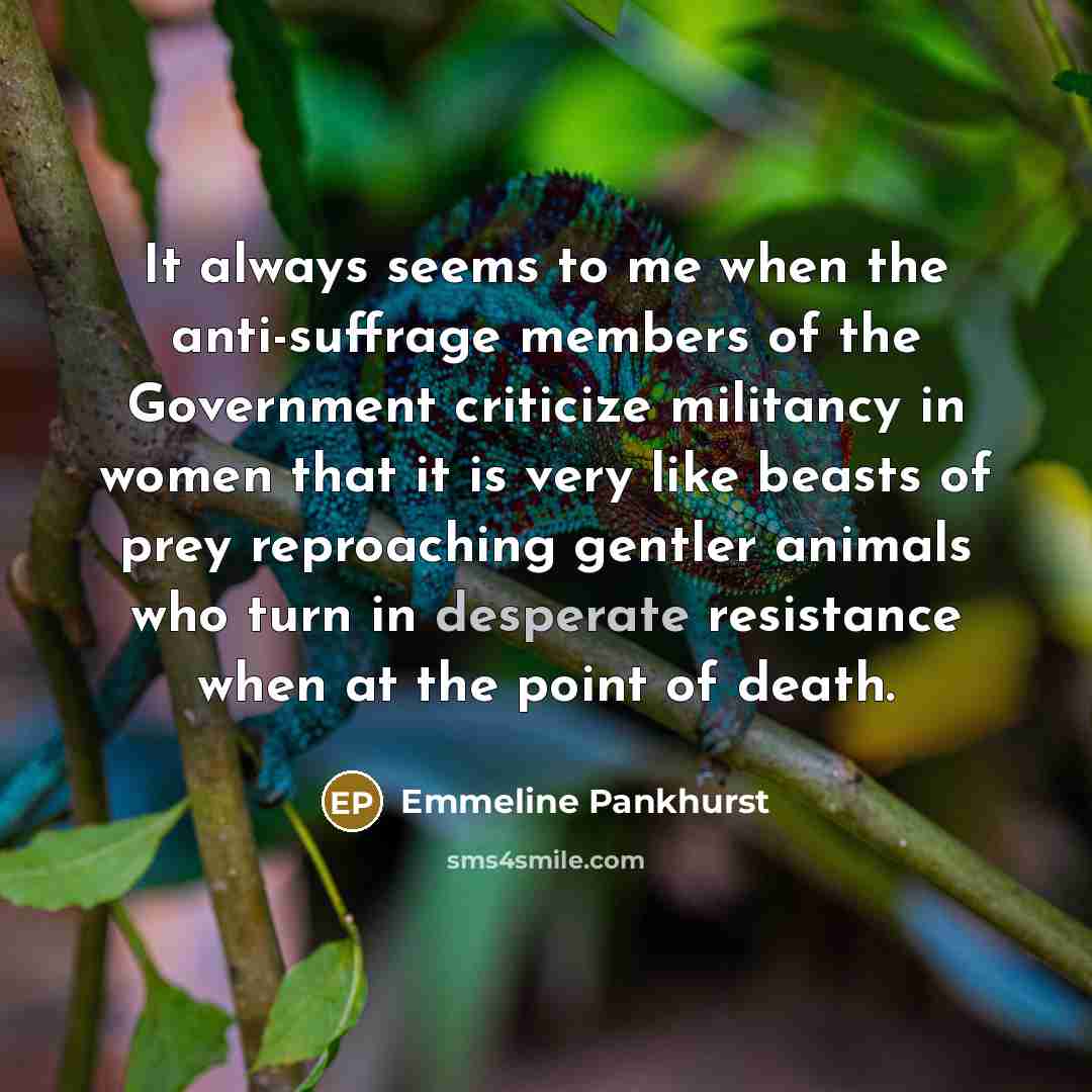 “It always seems to me when the anti-suffrage members of…” quote by Emmeline Pankhurst