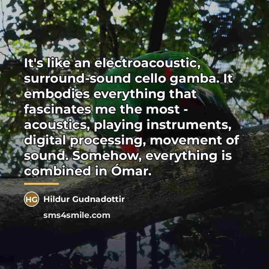 “It's like an electroacoustic, surround-sound cello gamba. It embodies everything…” quote by Hildur Gudnadottir