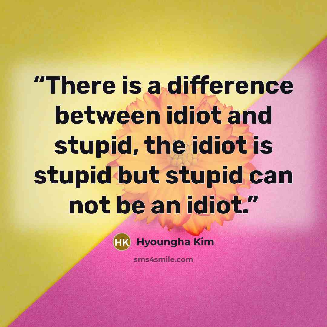 “There is a difference between idiot and stupid, the idiot is stupid but stupid can not be an idiot.” quote by Hyoungha Kim