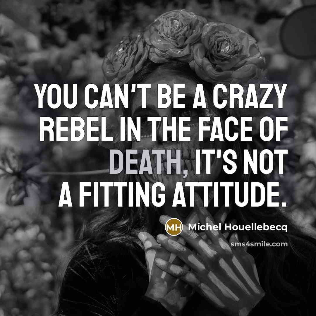 “You can't be a crazy rebel in the face of…” quote by Michel Houellebecq