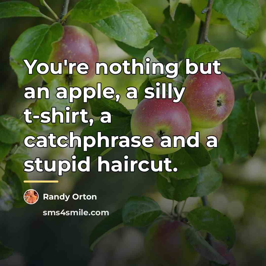 “You're nothing but an apple, a silly t-shirt, a catchphrase…” quote by Randy Orton