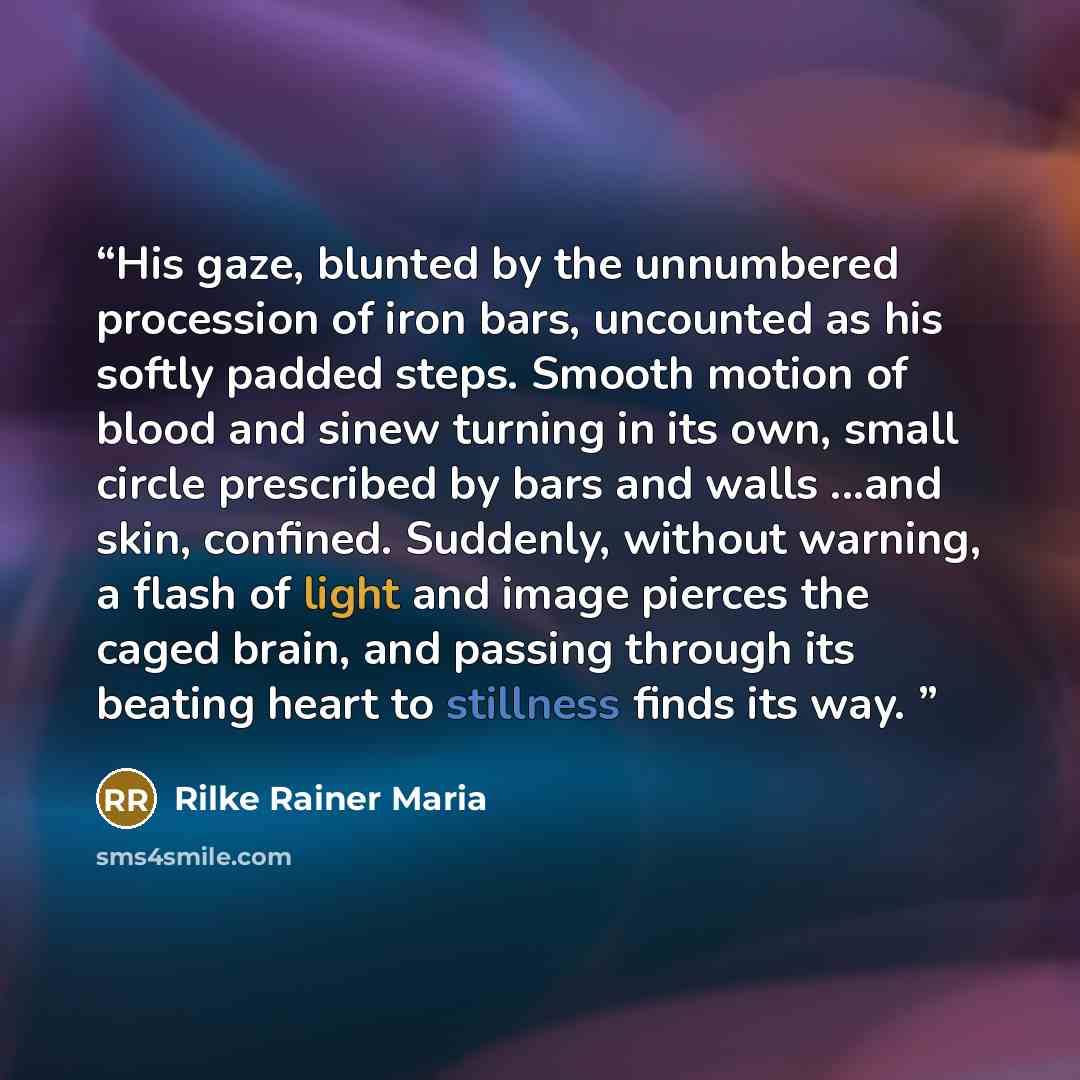 “His gaze, blunted by the unnumbered procession of iron bars, uncounted as his softly padded steps. Smooth motion of blood and sinew turning in its own, small circle prescribed by bars and walls ...and skin, confined. Suddenly, without warning, a flash of light and image pierces the caged brain…” quote by Rilke Rainer Maria