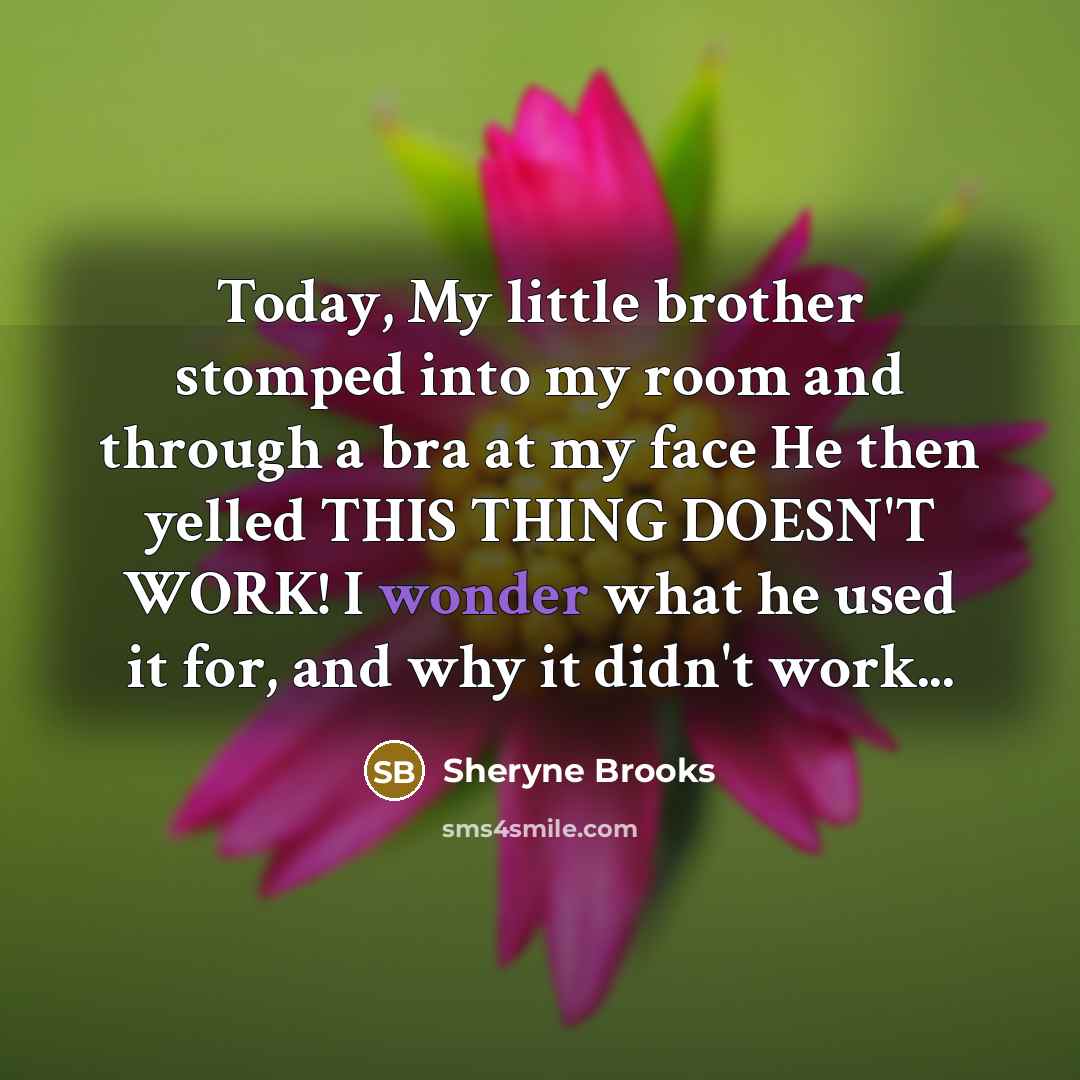 “Today, My little brother stomped into my room and through a bra at my face He then yelled THIS THING DOESN'T WORK! I wonder what he used it for, and why it didn't work...” quote by Sheryne Brooks