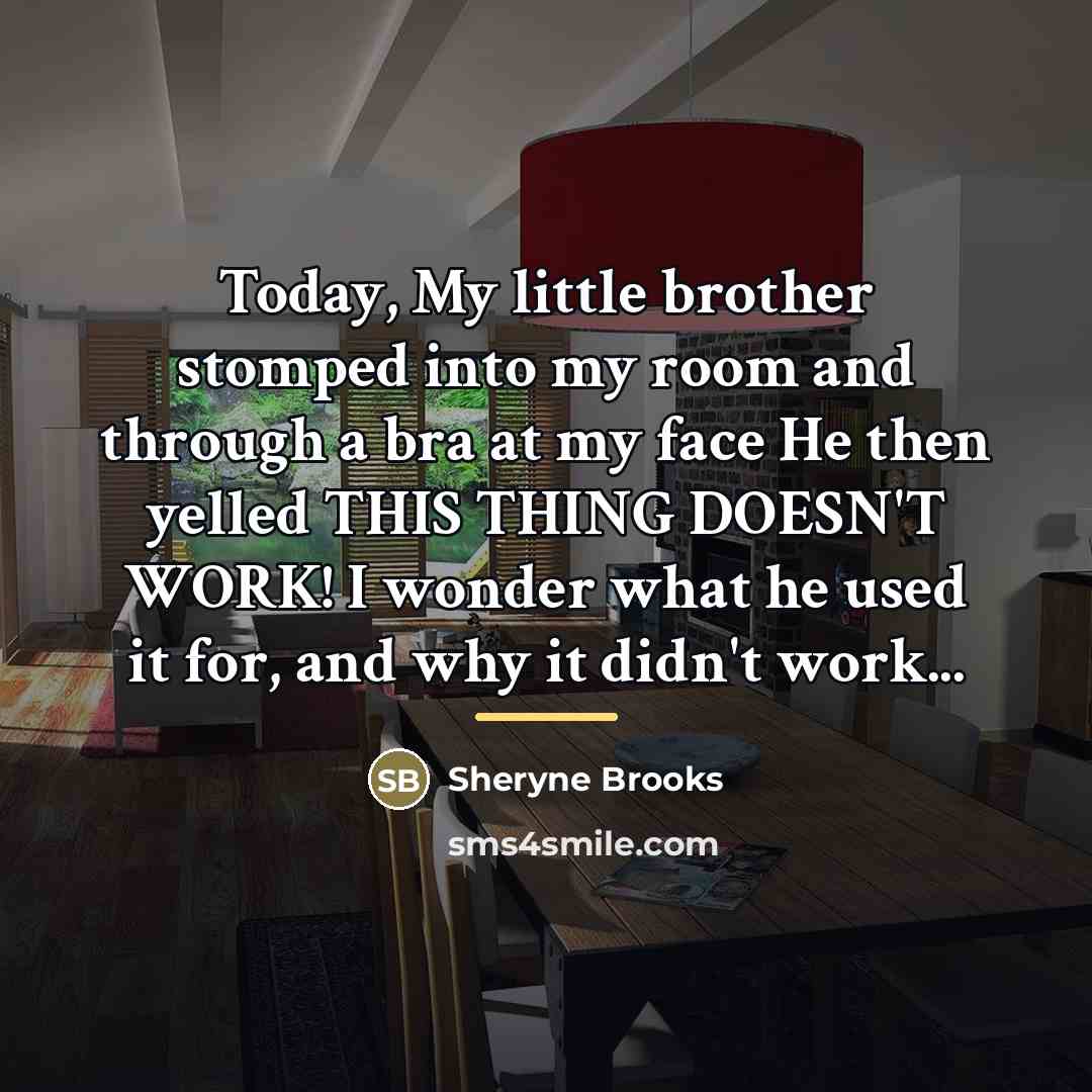 “Today, My little brother stomped into my room and through…” quote by Sheryne Brooks