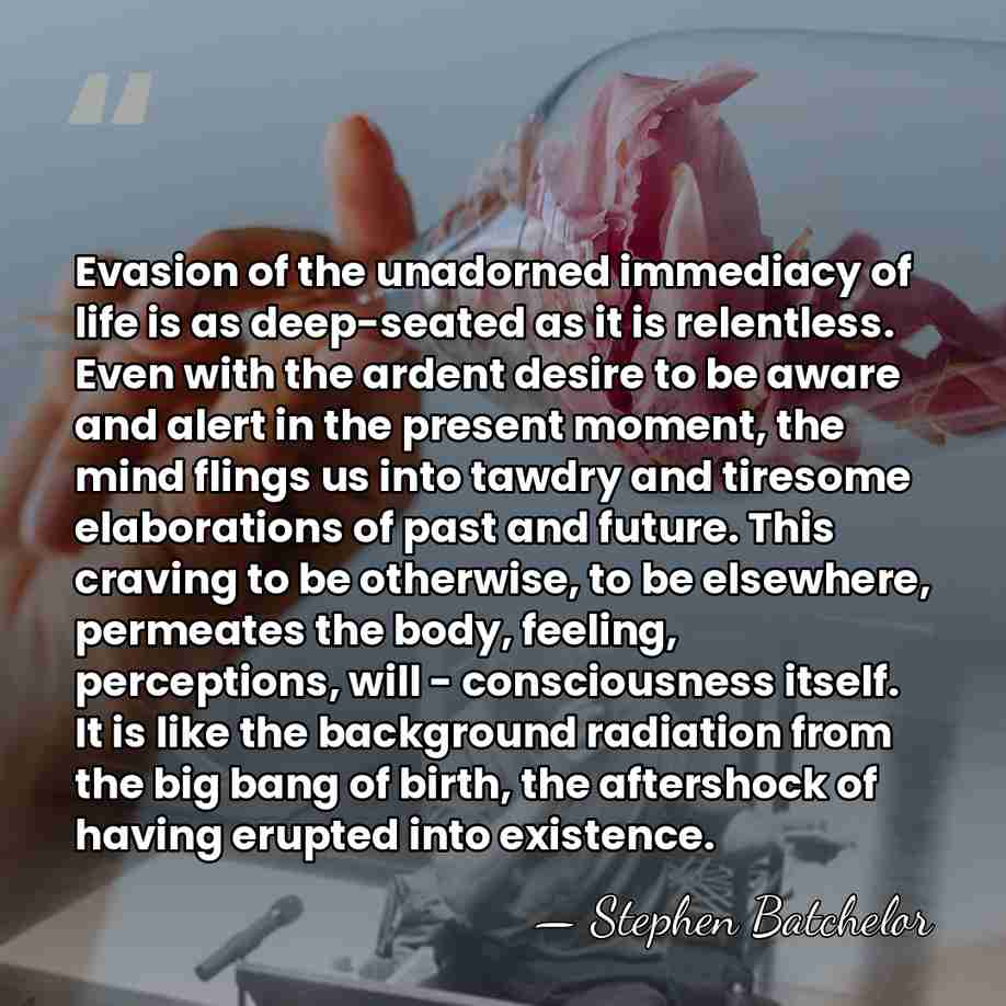 Evasion of the unadorned immediacy of life is as deep-seated as it&hellip; - Stephen Batchelor