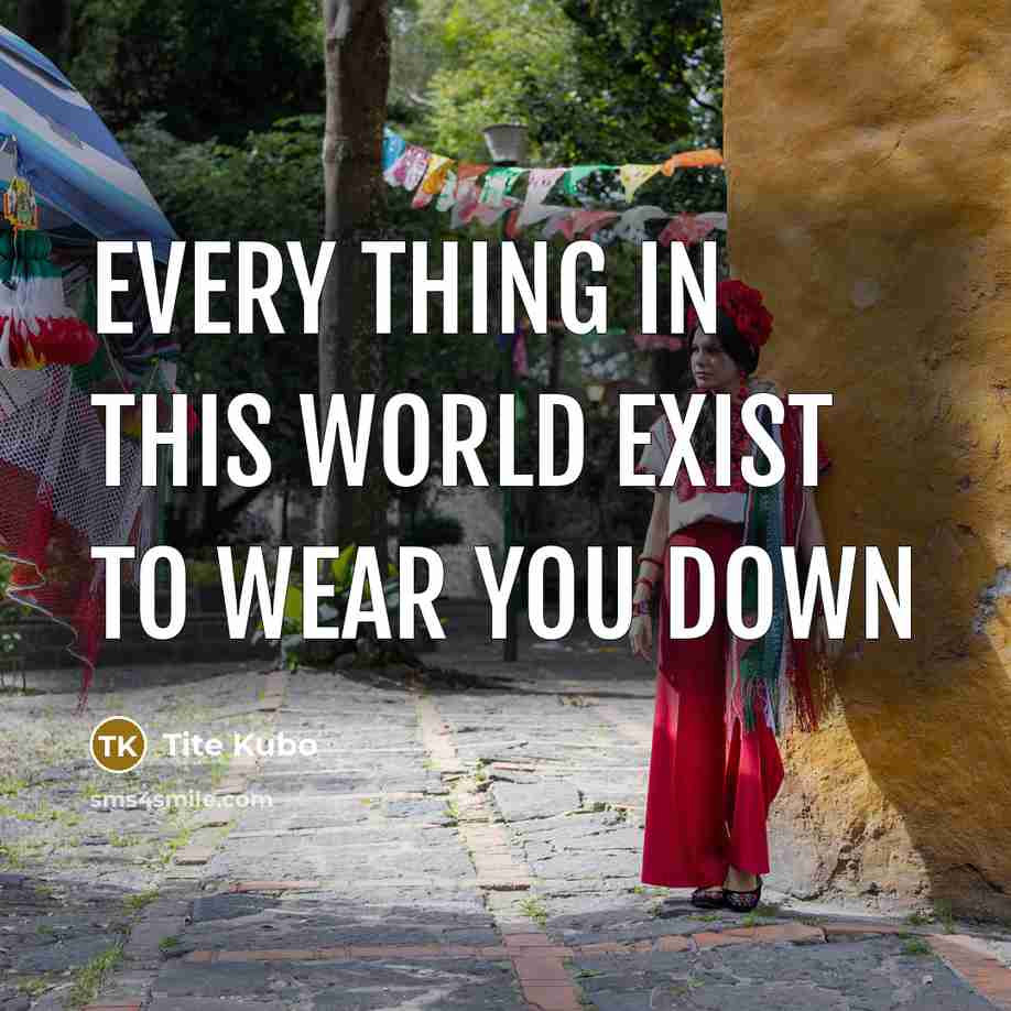 “Every thing in this world exist to wear you down…” quote by Tite Kubo
