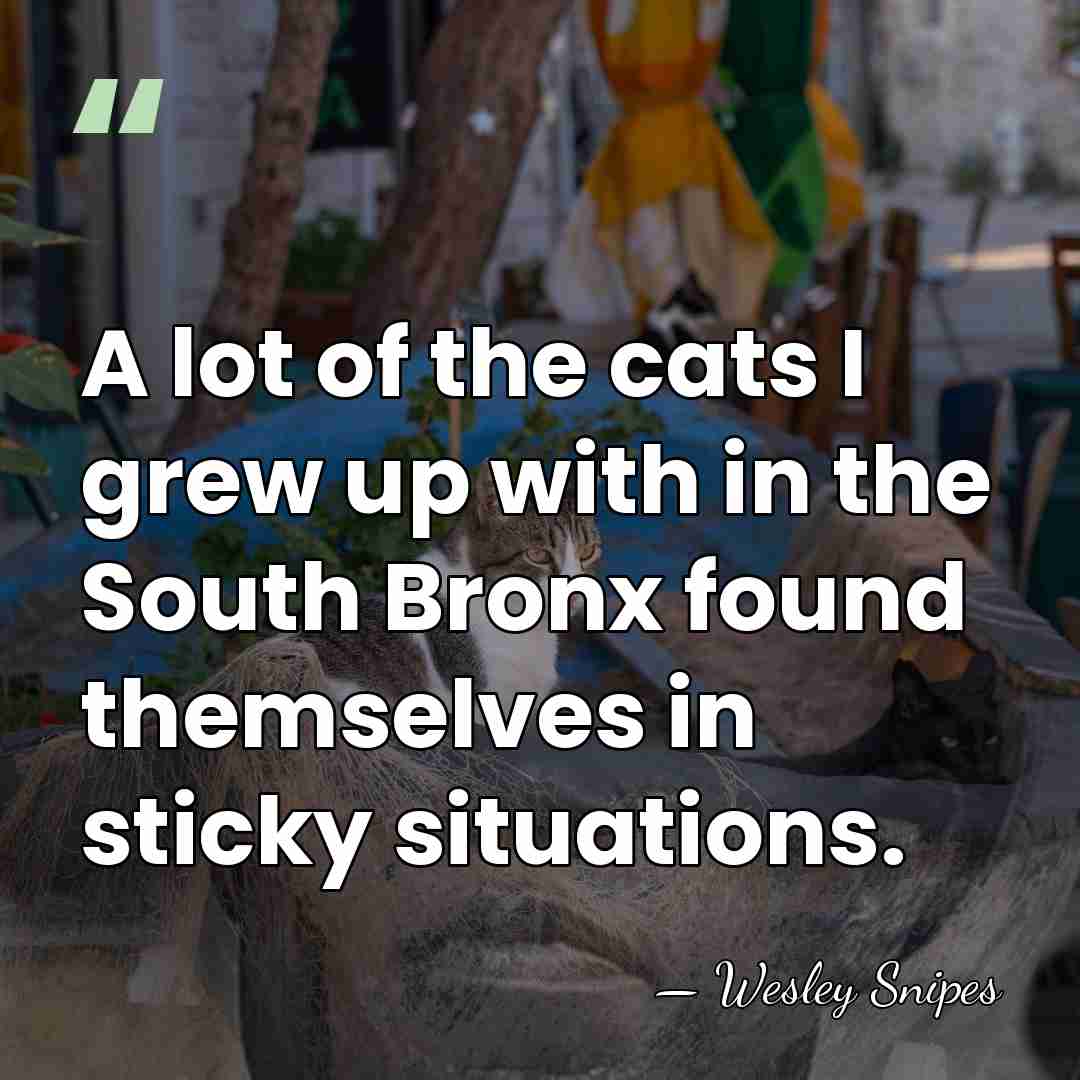 A lot of the cats I grew up with in the South&hellip; - Wesley Snipes
