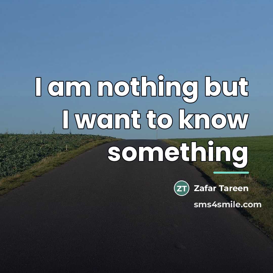 “I am nothing but I want to know something…” quote by Zafar Tareen