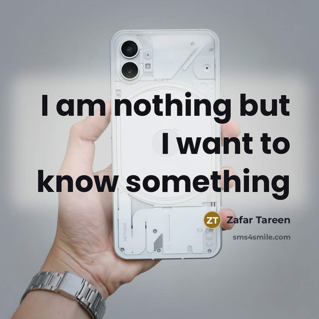 “I am nothing but I want to know something” quote by Zafar Tareen