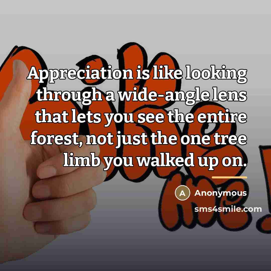 “Appreciation is like looking through a wide-angle lens that lets…” quote by Anonymous