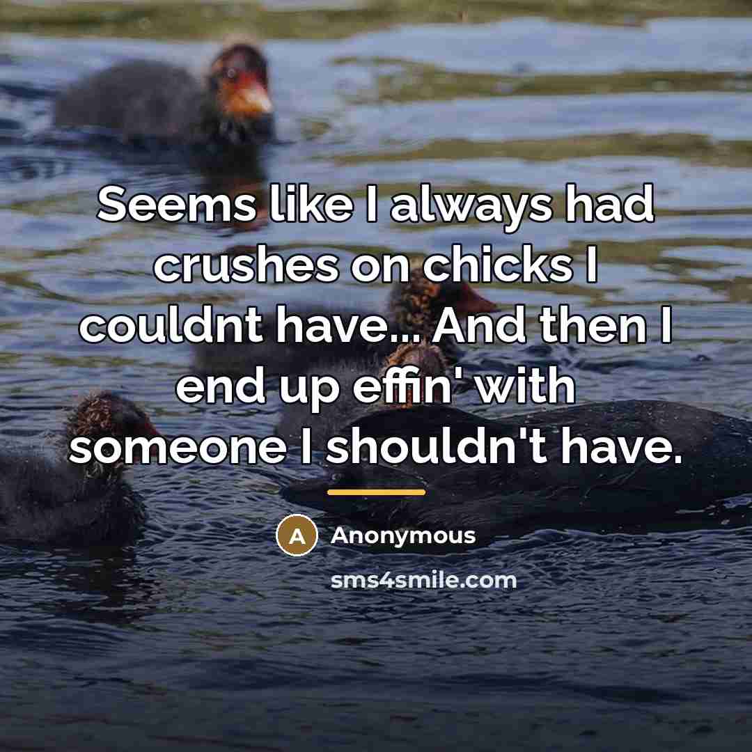 “Seems like I always had crushes on chicks I couldnt…” quote by Anonymous