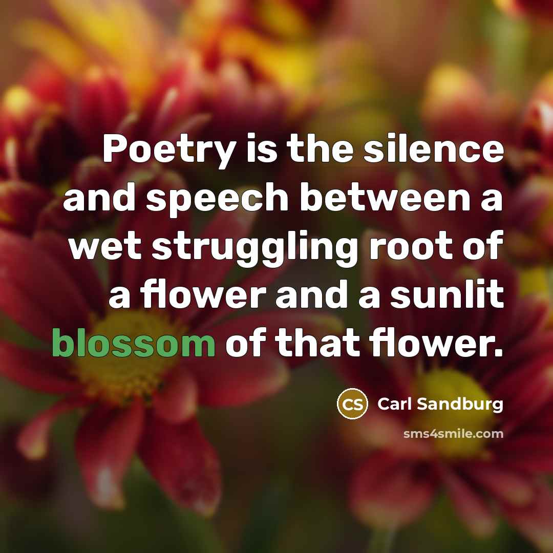 “Poetry is the silence and speech between a wet struggling…” quote by Carl Sandburg