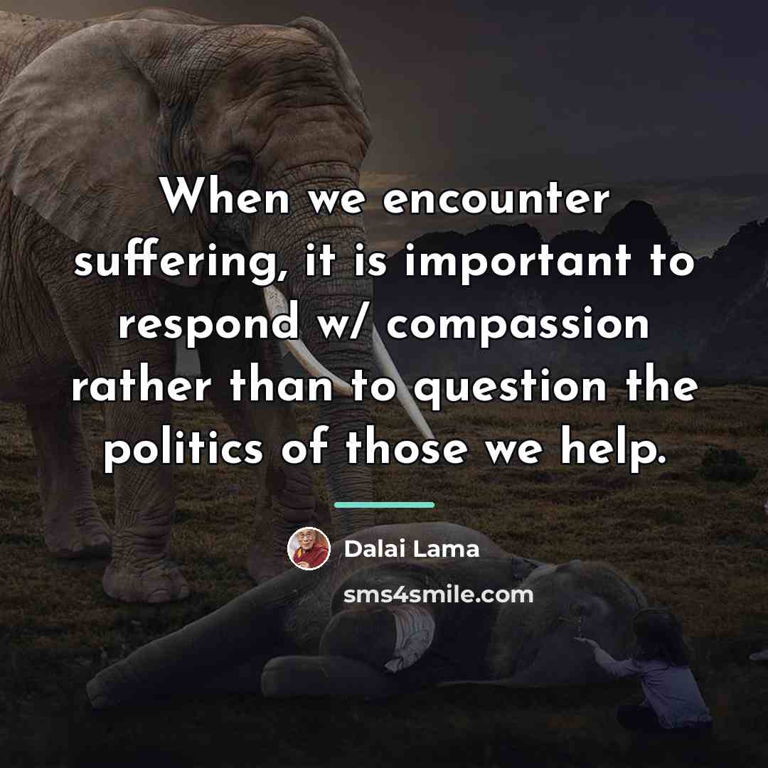 “When we encounter suffering, it is important to respond w/…” quote by Dalai Lama