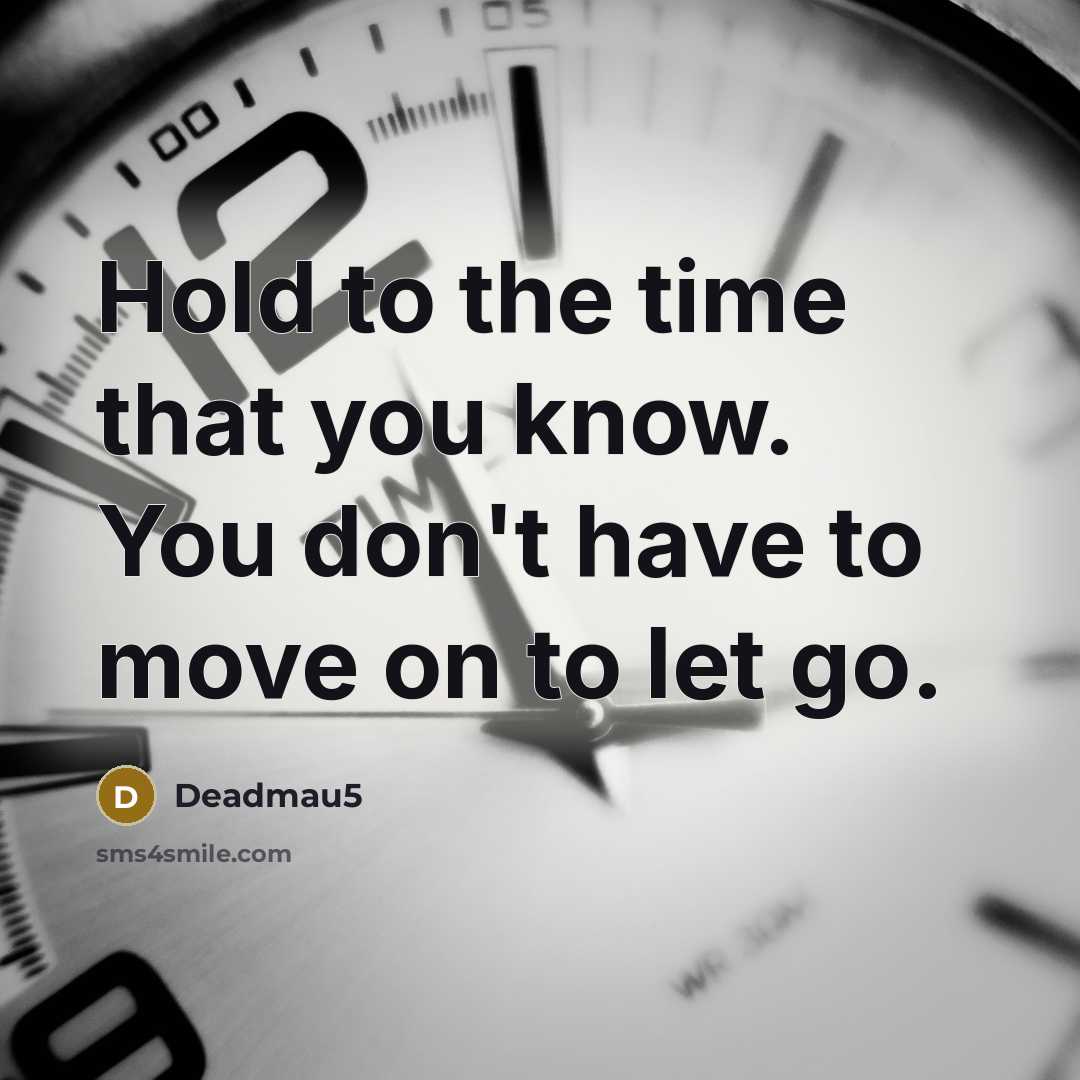 “Hold to the time that you know. You don't have…” quote by Deadmau5