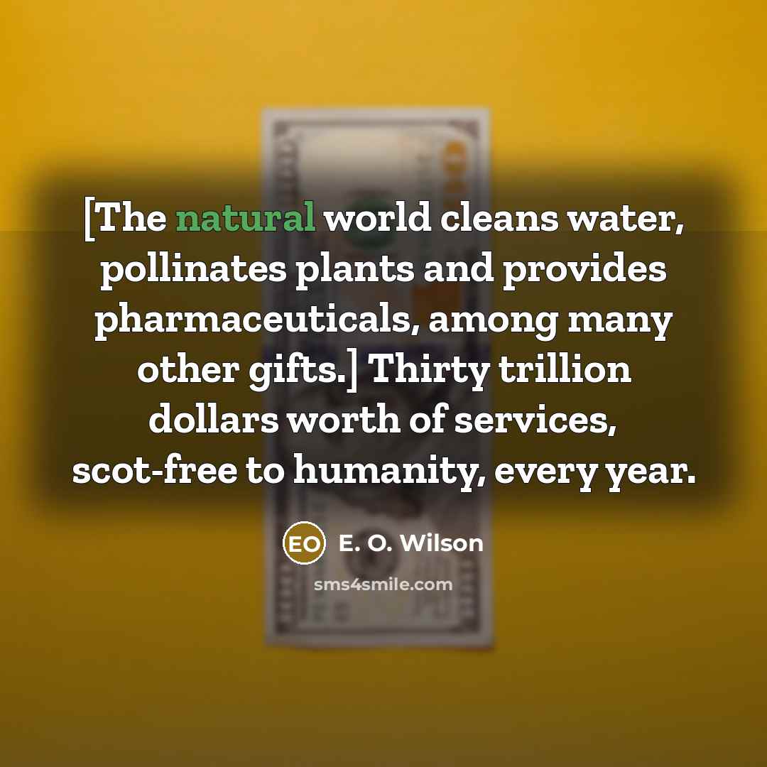 “[The natural world cleans water, pollinates plants and provides pharmaceuticals,…” quote by E. O. Wilson