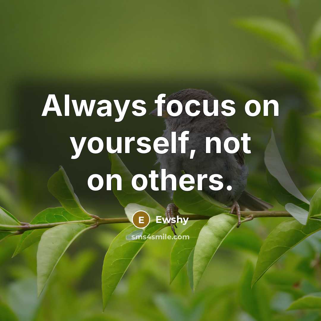 “Always focus on yourself, not on others.…” quote by Ewshy