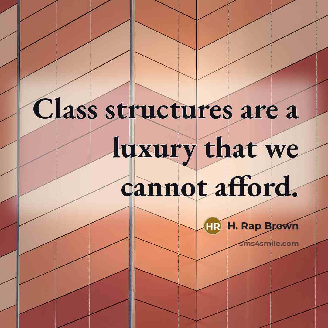 “Class structures are a luxury that we cannot afford.” quote by H. Rap Brown