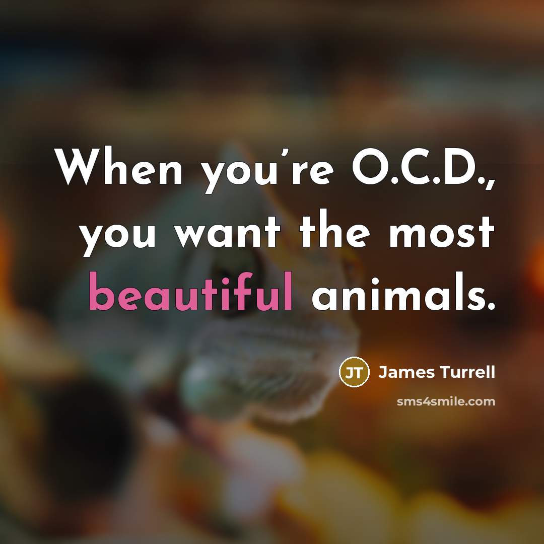 “When you’re O.C.D., you want the most beautiful animals.…” quote by James Turrell