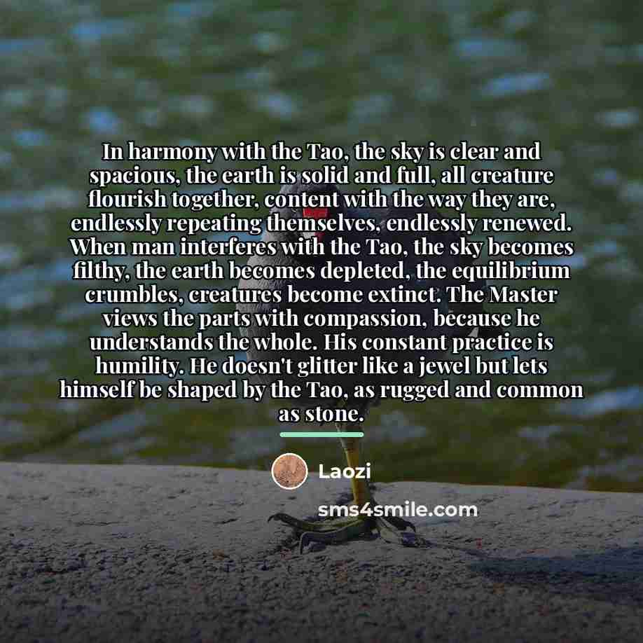 “In harmony with the Tao, the sky is clear and…” quote by Laozi