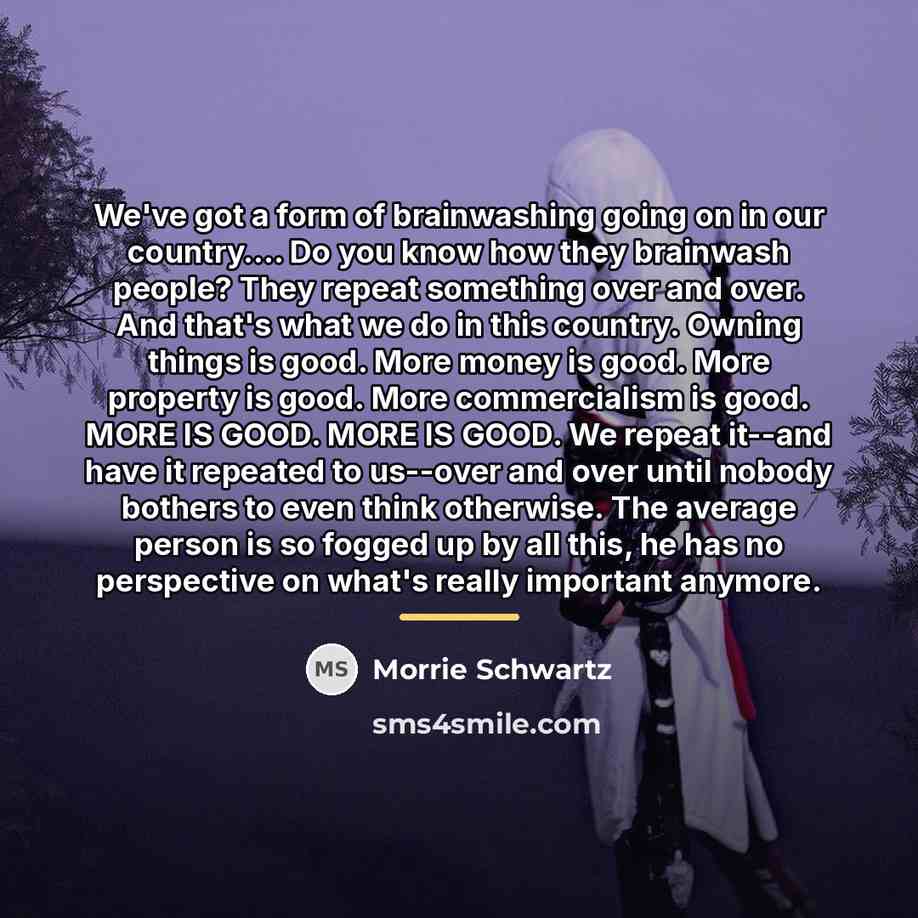“We've got a form of brainwashing going on in our…” quote by Morrie Schwartz