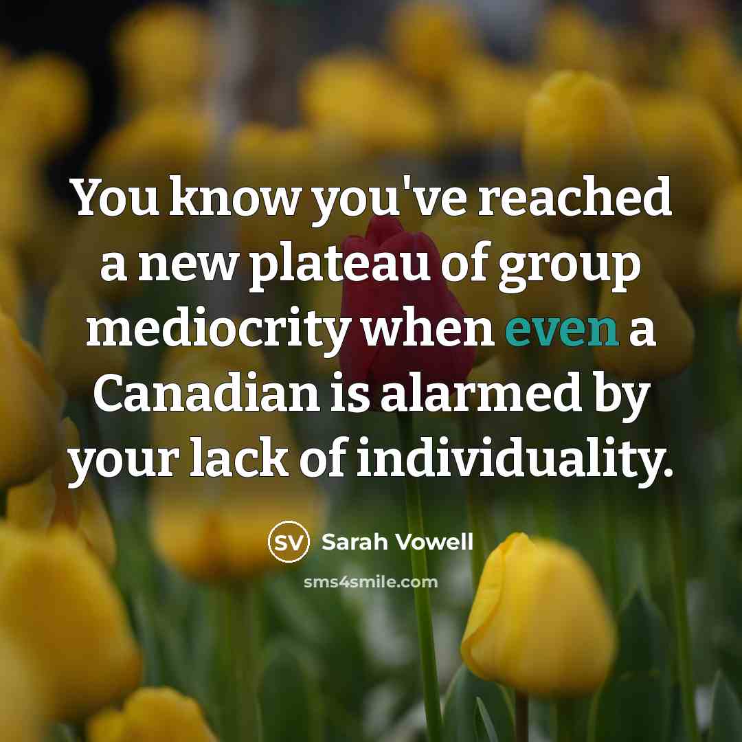 “You know you've reached a new plateau of group mediocrity…” quote by Sarah Vowell