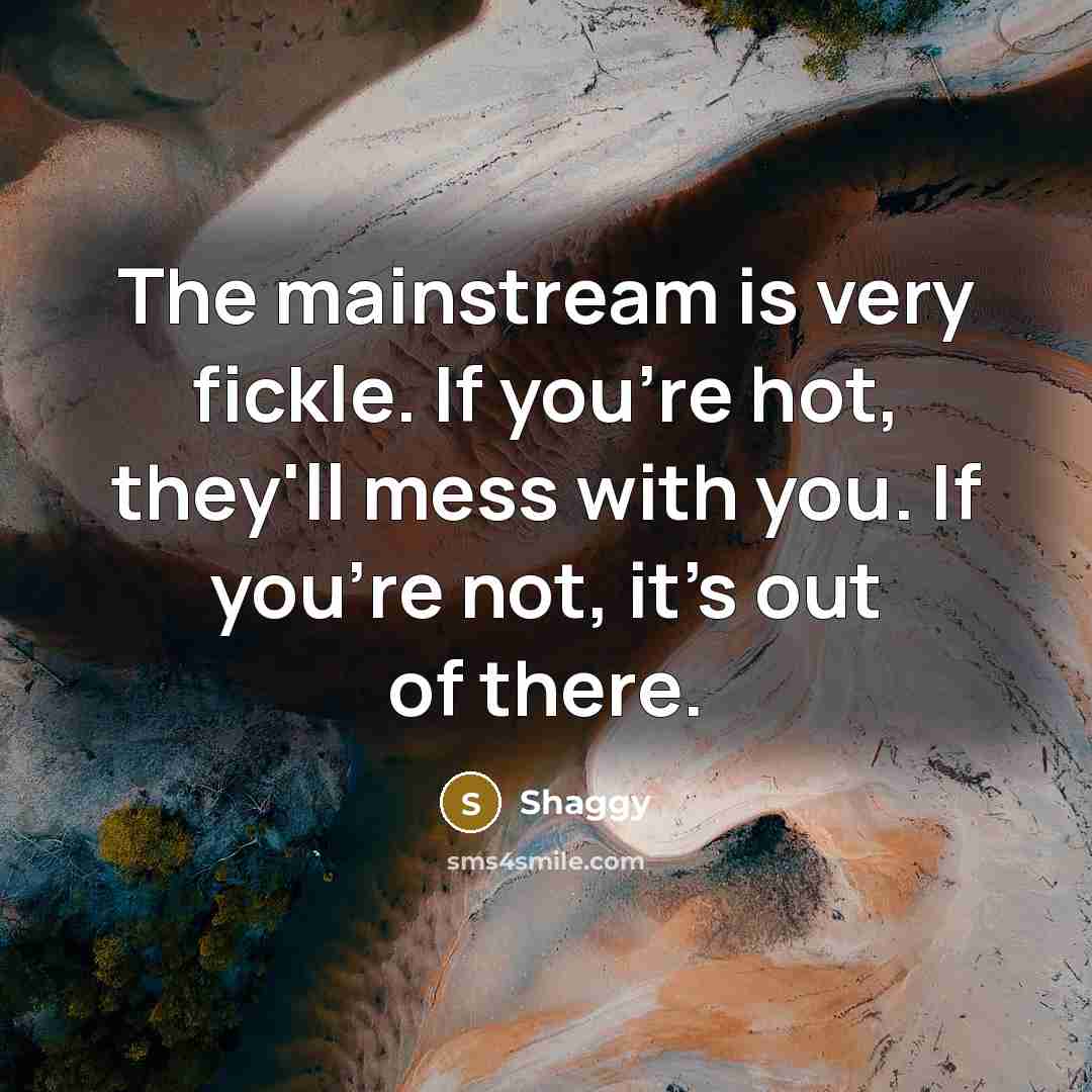 “The mainstream is very fickle. If you're hot, they'll mess…” quote by Shaggy